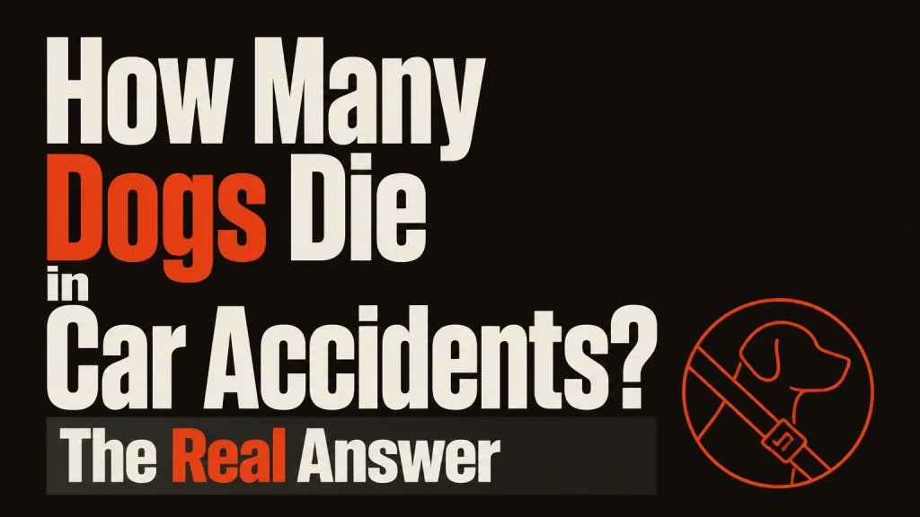 how many dogs die in car accidents