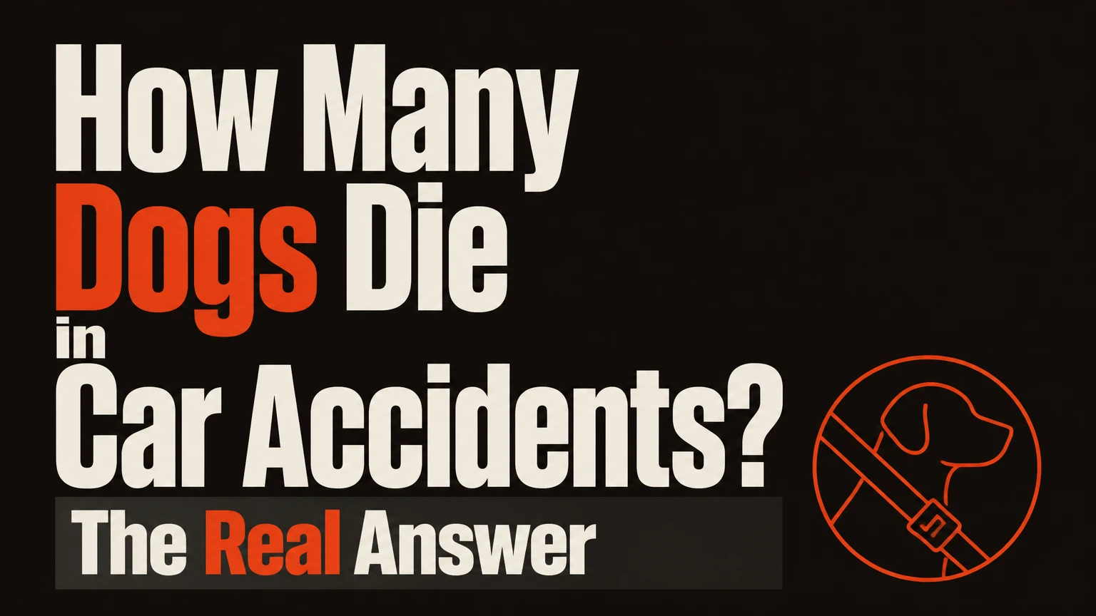 how many dogs die in car accidents
